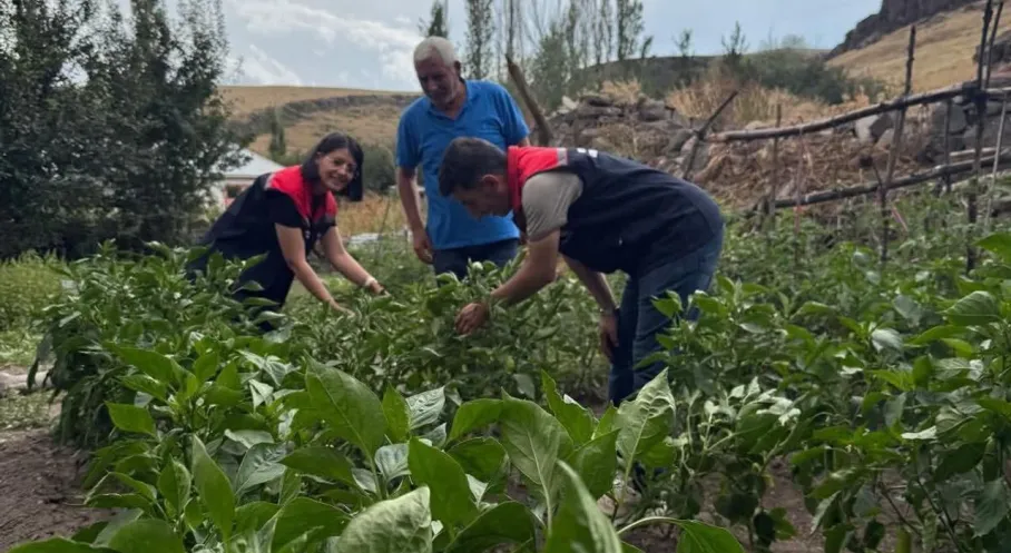 Kars'ta Fide Projesi Rekor Kırdı! Üreticinin Yüzü Güldü