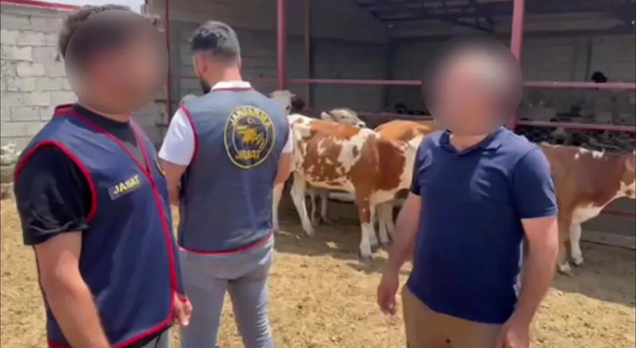 Kars'ta Hayvan Hırsızlığı Operasyonu: 5 Gözaltı, Çalınan Hayvanlar Sahiplerine İade Edildi!