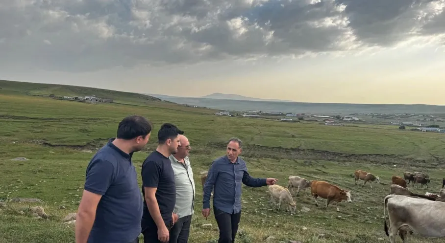 Kars'ta Hayvancılık Yetkilileri Sahada: Üreticinin Sesi Duyuldu!