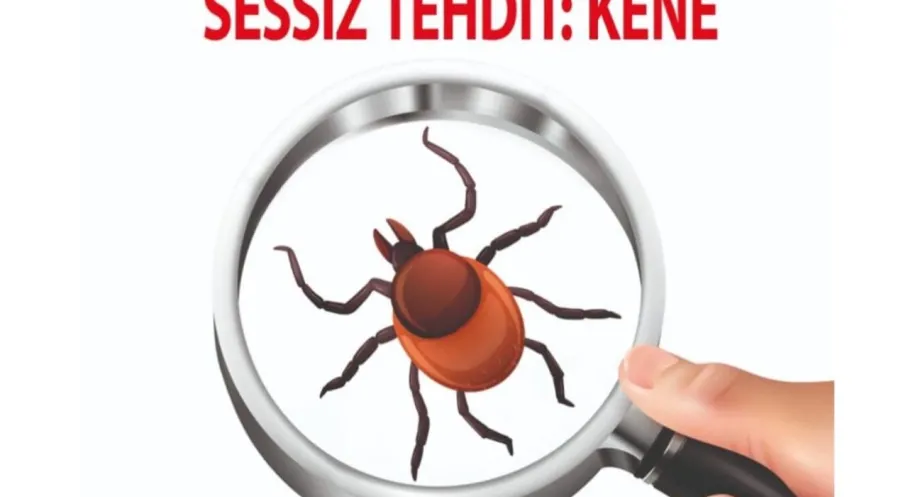 Kars'ta Kene Alarmı: Uzmanlardan KKKA Uyarısı! | Beylerbeyi'nde Bilim Sohbeti