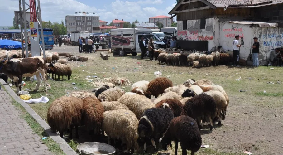 Kars'ta Kurban Bayramı Coşkusu: Çarşılar Doldu Taştı, Trafik Kilitlendi!