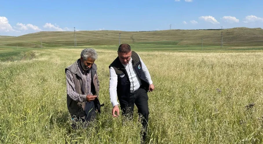 Kars'ta Sel Felaketi! Köylerde Hasar Tespiti Başladı, Çiftçiye Destek Sözü!