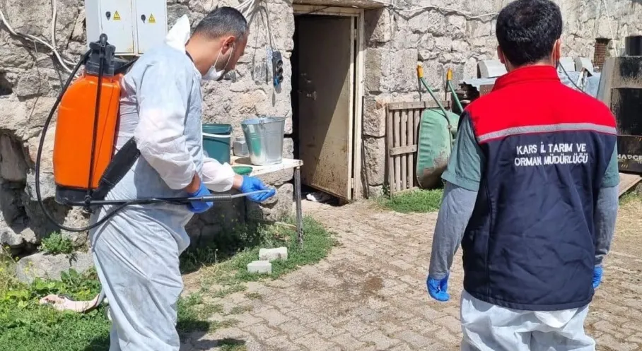 Kars'ta Tarım Alarmı! Köylerde Dezenfeksiyon Seferberliği Başladı