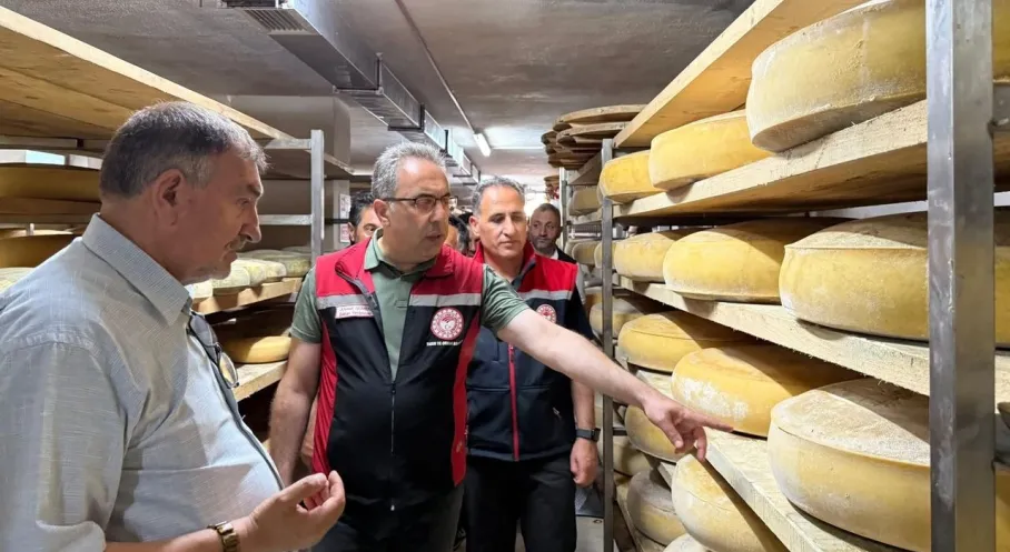 Kars'tan Boğatepe Sürprizi: Bakanlık Heyeti Geleneksel Peynir Üretimini Yerinde İnceledi!