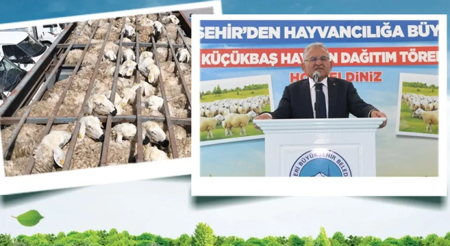 Kayseri'de Hayvancılığa Çığır Açan Hamle: Koyun Projesiyle 150 Bin Başlık Rekor Artış!