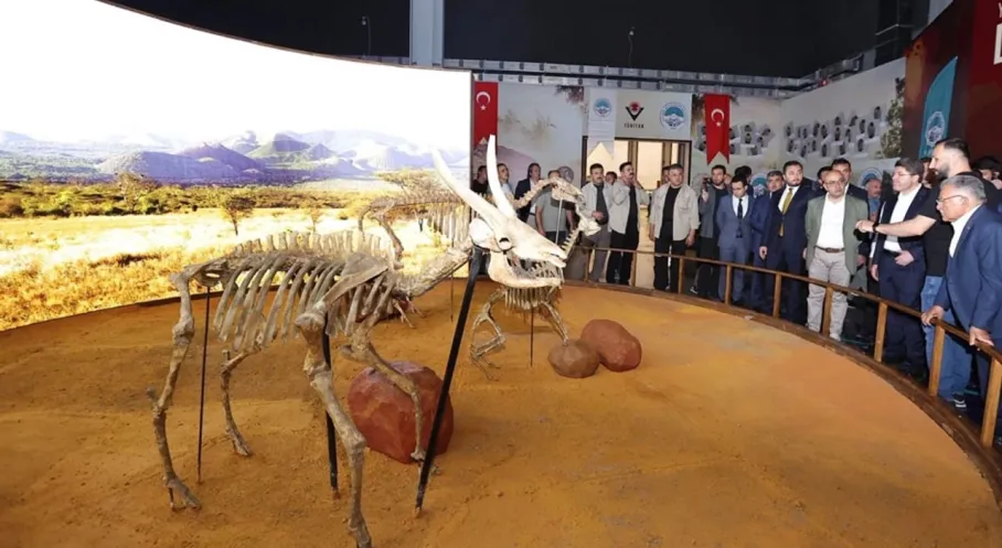 Kayseri'den Bakan Tunç'a Tarihi Hediye: 7.5 Milyon Yıllık Fosil!