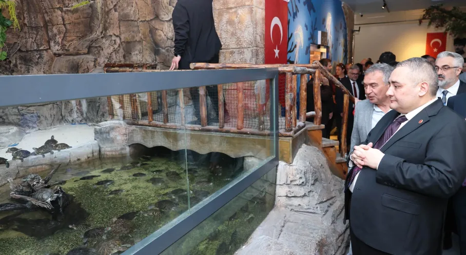Keçiören Deniz Dünyası Göz Kamaştıran Yüzüyle Yeniden Açıldı: Ankara'nın Yeni Gözdesi