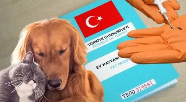 Kedi ve Köpek Kayıtları İçin Süre Uzatıldı! Yeni Düzenlemeler Resmi Gazete'de
