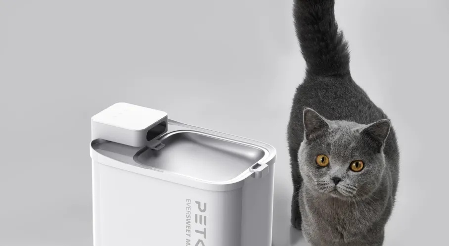 Kedilerin ve Köpeklerin Böbrek Sağlığı İçin Kritik Hamle: PETKIT'ten Akıllı Su Pınarı!