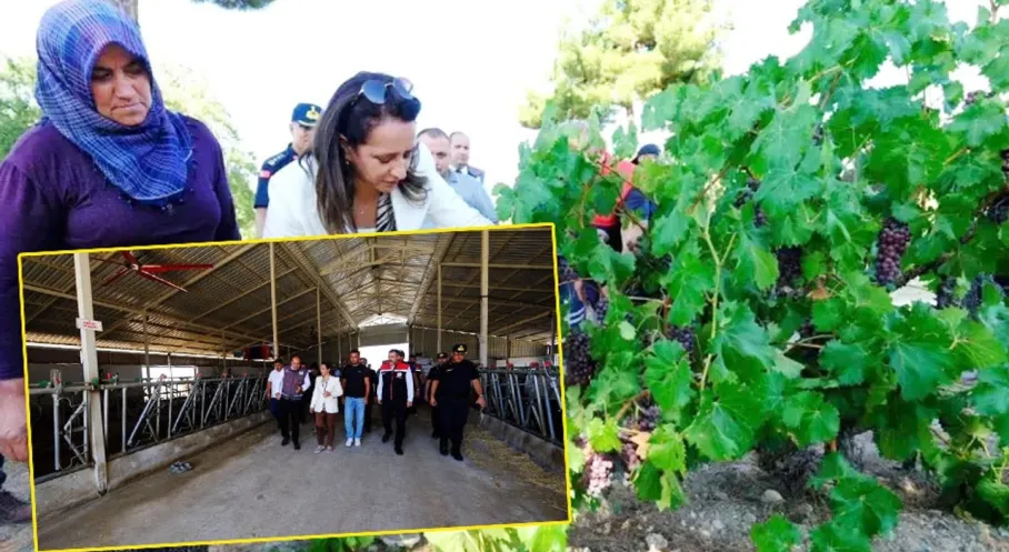 Kemer'de Üreticiye Müjde! Tarım ve Hayvancılığa Tam Destek Sözü