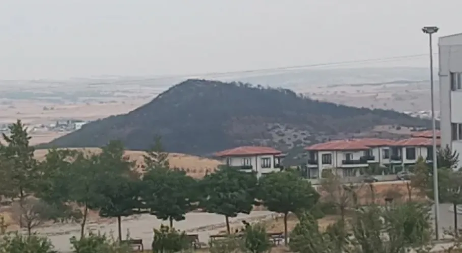Keşan Sivritepe Yangını Sonrası Umut Işığı: Doğa Yeniden Canlanacak mı?