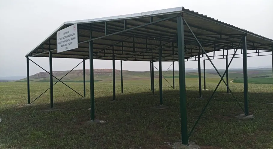 Kırıkkale'de Hayvanlar İçin Meralara Gölgelikler Kuruluyor! İşte Detaylar