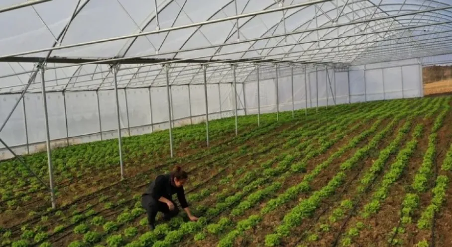 Kocaeli'den Çiftçiye Müjde: Modern Sera Desteğiyle Üretimde Devrim!
