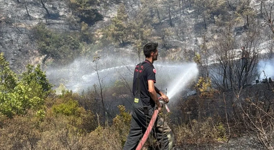 Kocaeli İtfaiyesi Bursa'daki Orman Yangınına Koştu! Son Dakika
