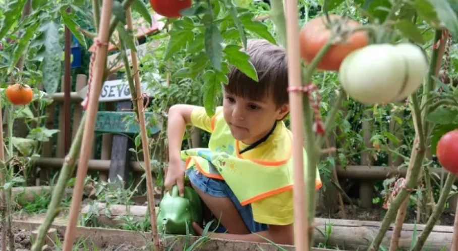 Kocaeli'de Minik Ellerden Bereket Fışkırdı! Çocuklar Hasat Sevinci Yaşadı