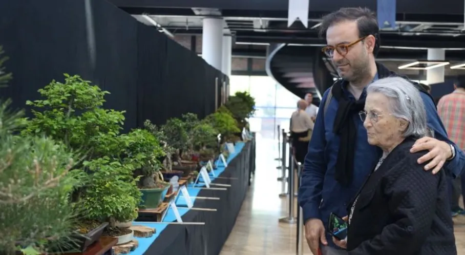 Kocaeli'de Bonsai Rüzgarı: Büyükşehir'den Sanat ve Doğa Buluşması!