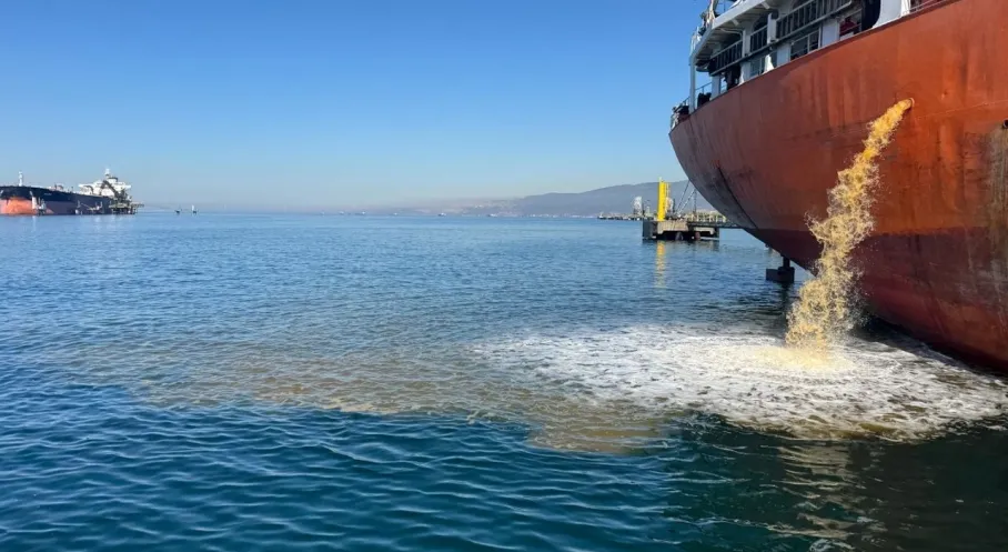 Kocaeli'de Deniz Katliamı! Gemiden Kirli Deşarj, Büyükşehir Harekete Geçti!