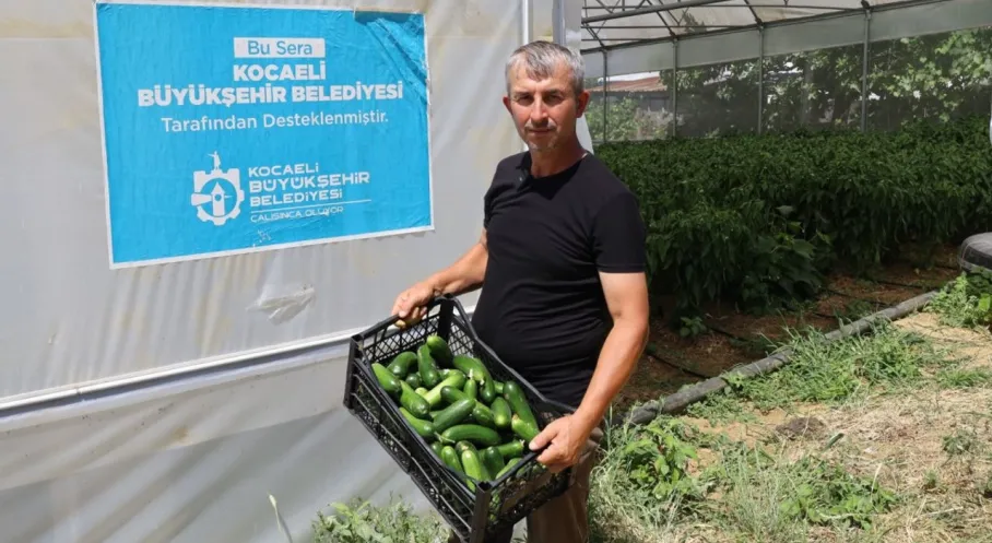 Kocaeli'de Modern Seracılık Hamlesi: Üreticinin Yüzü Gülüyor!
