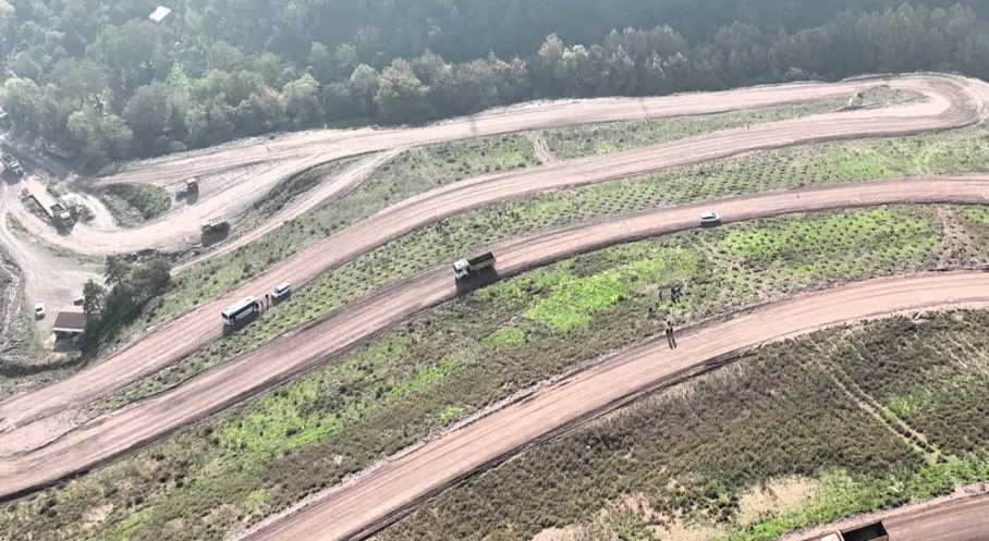 Kocaeli'de Rekor Ağaçlandırma! Büyükşehir'den 3300 Sedir Fidanı Hediyesi