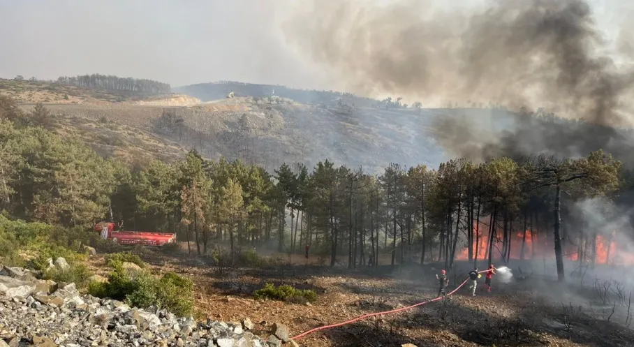 Kocaeli'den Bursa Yangınına Destek: A Takımı ve İtfaiye Seferber Oldu!