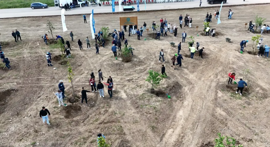 Kocaeli'nde Yeşil Seferberlik! 3500 Fidan Toprakla Buluştu