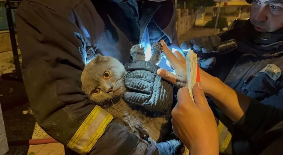 Konyaaltı'nda Korkunç Yangın: Anne, Oğlu ve Kedi Alevlerin Arasında Kaldı!