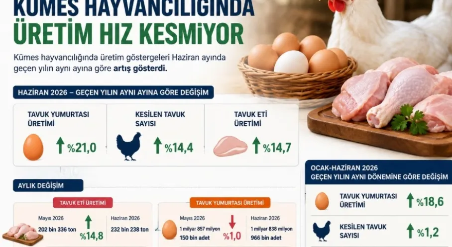 Manşet Resmi