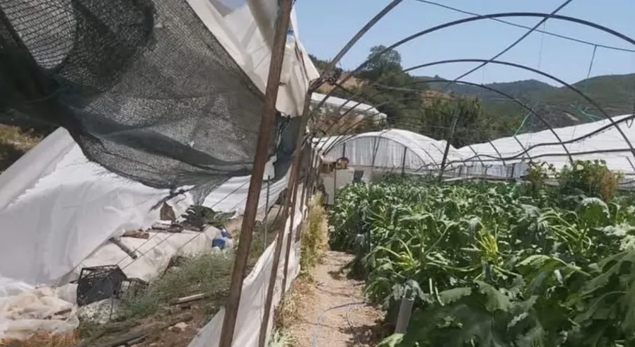 Kumluca'da Hortum Felaketi: Seracılar Perişan! Zarar Büyük