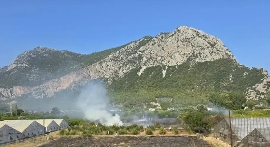 Antalya Kumluca'da Orman Yangını! Hızlı Müdahale Felaketi Önledi