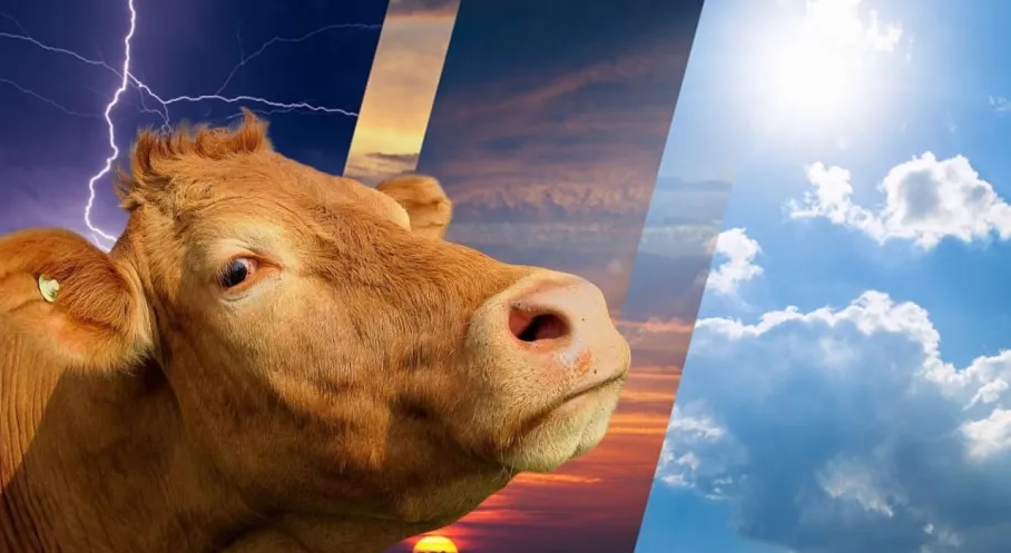 Kurban Bayramı'nda Hava Nasıl Olacak? Meteoroloji'den Son Dakika Bayram Hava Durumu Tahmini!