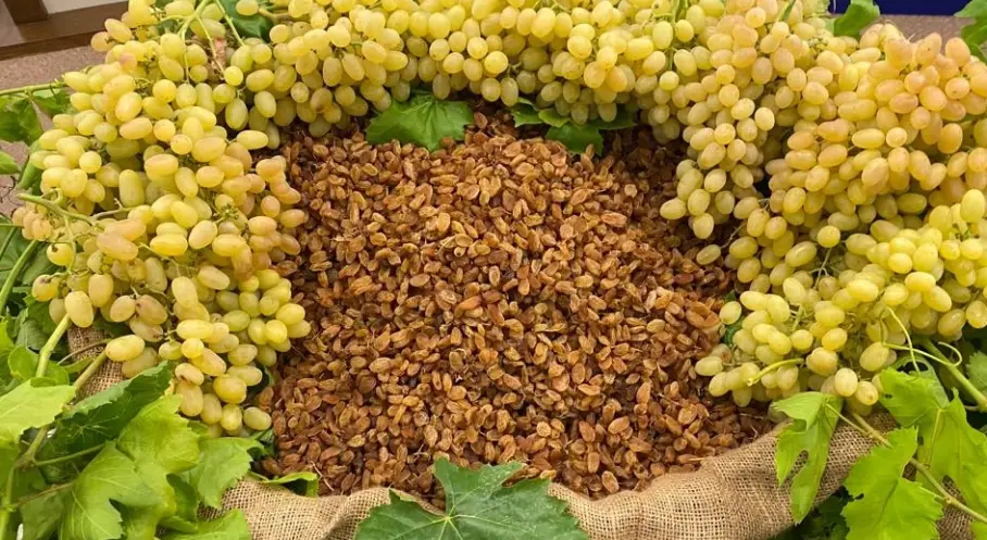 Kuru Meyve İhracatçıları Uluslararası İş Birliklerini Sıklaştırıyor