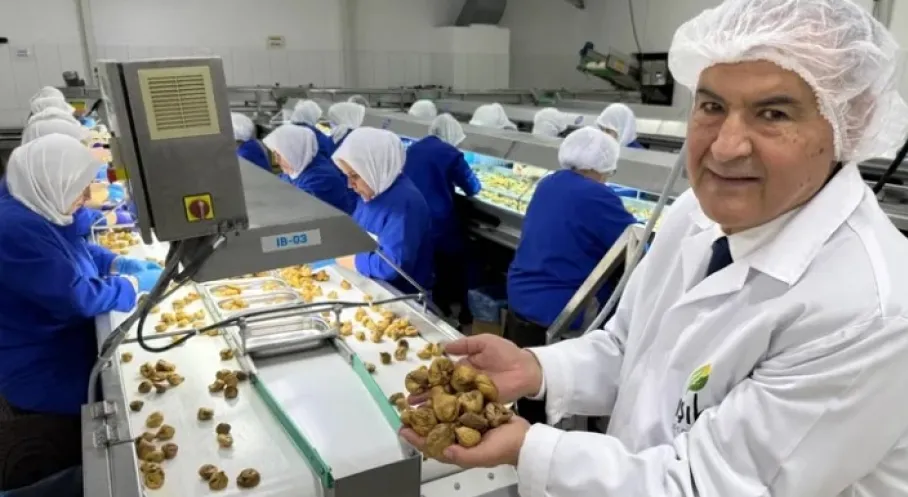 Kuru Meyve İhracatında Ege Fırtınası! 12 Şampiyonun 11'i Egeden Çıktı