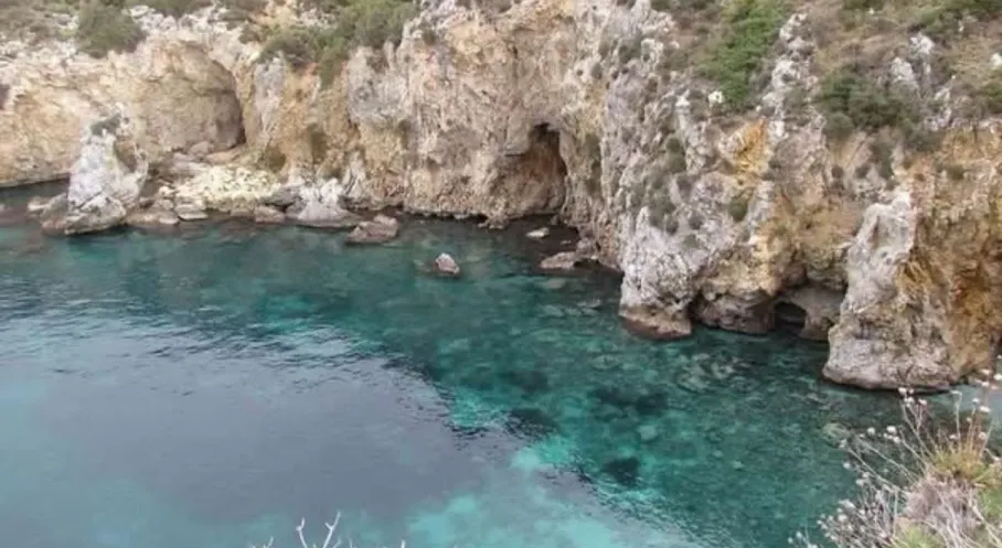 Kuşadası'nda Şaşırtan Misafir! Akdeniz Foku Görüntülendi (Son Dakika)