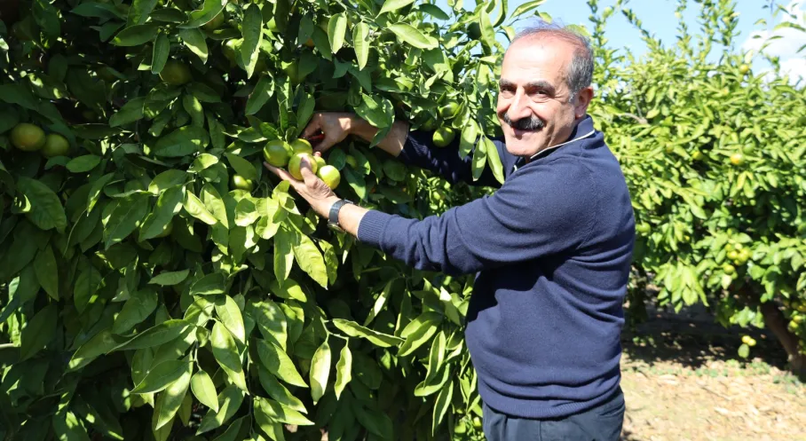 Mandalina İhracatında Rekor Artış! Ekim Ayı İhracat Verileri Açıklandı