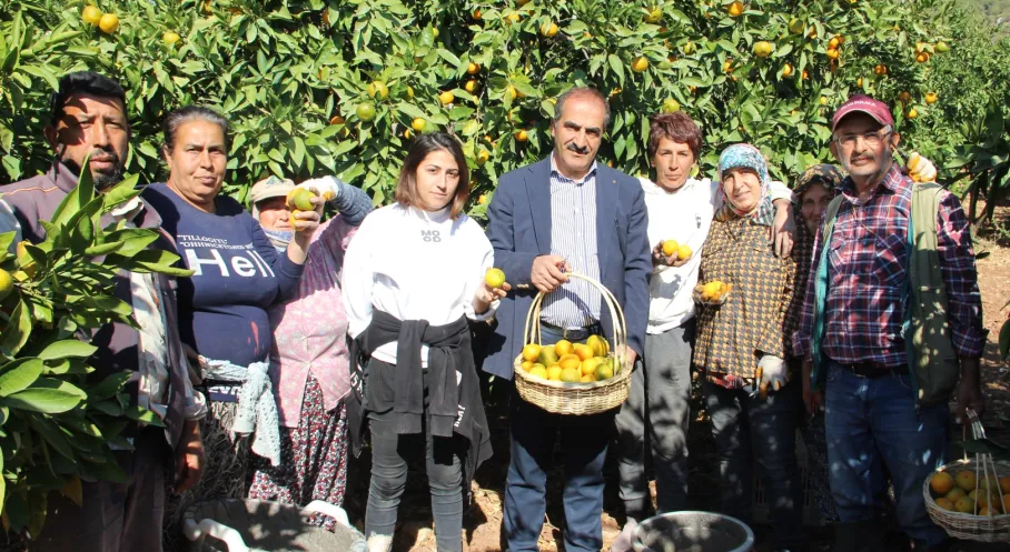 Mandalina İhracatında Rekor Hedef: 500 Milyon Dolar Gelir Bekleniyor!