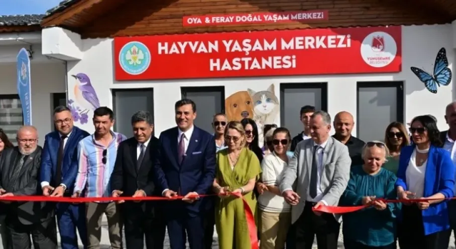 Manisa'da Sokak Hayvanları İçin Devrim! Yeni Yaşam Merkezi Açıldı