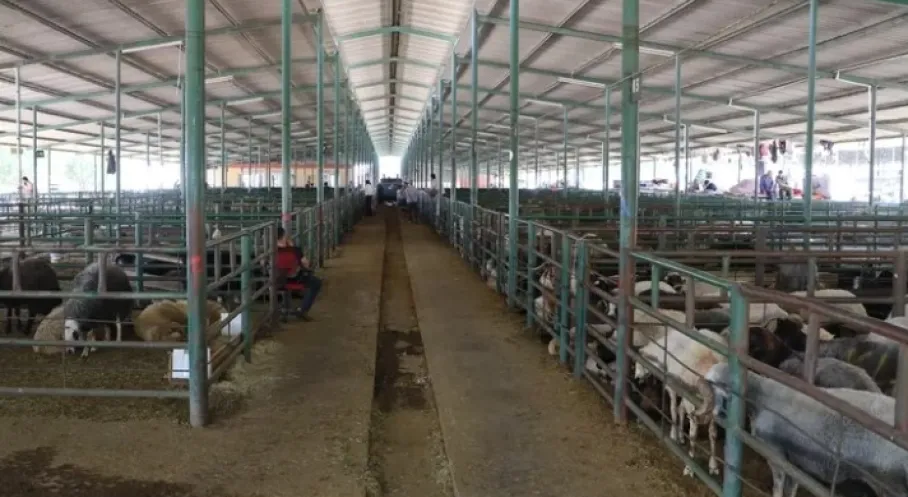 Manisa Kurban Bayramı'na Hazır: Ücretsiz Ulaşım, Denetimler ve Nöbetçi Ekipler!