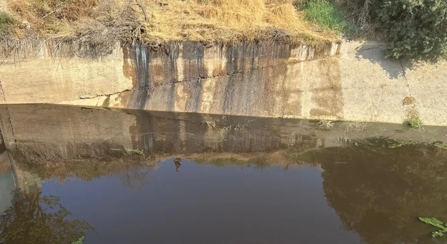 Manisa'da Biyogaz Tesisine Çevre Cezası! Gübre Sızıntısı Alarmı