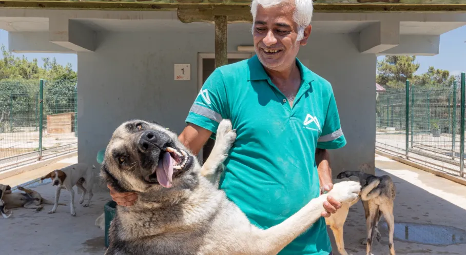 Mersin Büyükşehir Silifke Rehabilitasyon ve Yaşam Alanı Can Dostların Güvenli Limanı