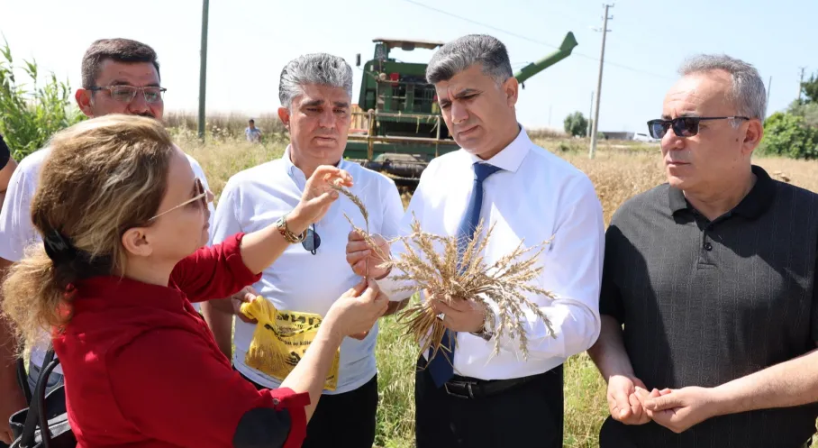 Mersin'de Ücretsiz Un Müjdesi! Hasat Buğdayı İhtiyaç Sahiplerine Ulaşıyor