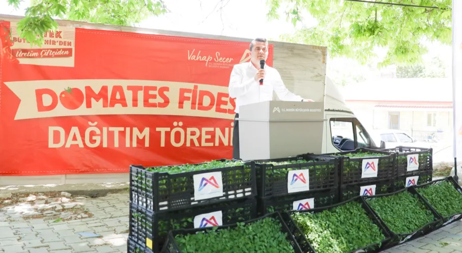 Mersin'de Üretici Destekle Kazanıyor! Büyükşehir'den Domates Fidesi Hibesi
