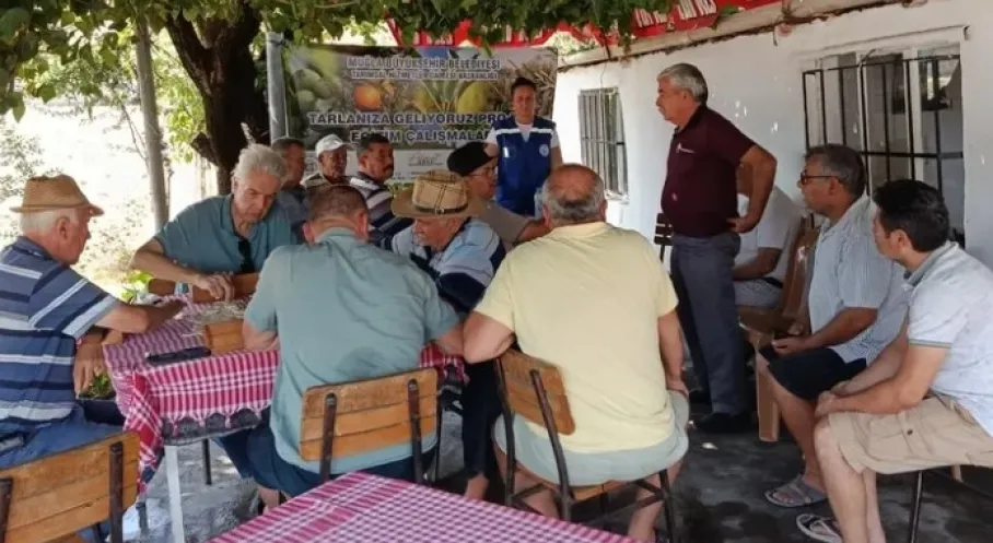 Muğla'da Zeytin Üreticisine Büyükşehir'den Eğitim Desteği!