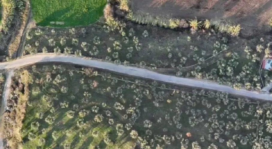 Muğla Milas'ta Köylere Ulaşım Müjdesi: Yeni Yol Yatırımı Başladı!