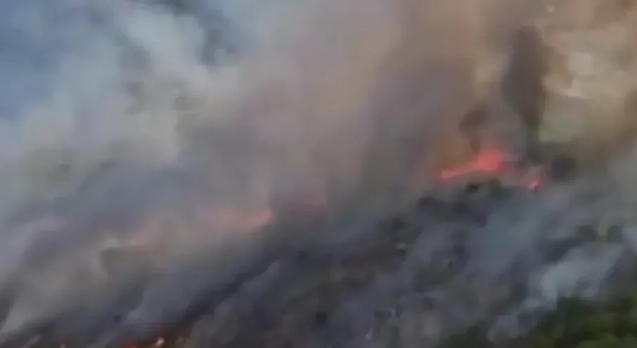 Muğla Seydikemer'de Korkutan Orman Yangını! Son Durum Ne?