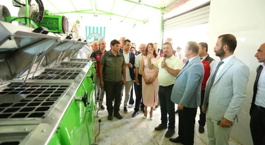Muğla'da Zeytinyağı Şöleni: Kalite Yarışması ve Sektör Buluşması!