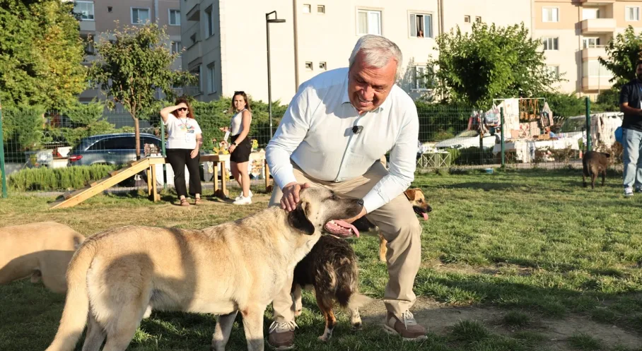 Nilüfer'de Can Dostlar Yuvalarına Kavuştu! Sahiplendirme Şenliği Coşkusu