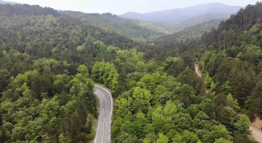 OGM Müdürü: Yanan Ormanlar Ekolojiye Uygun Fidanlarla Yeşeriyor