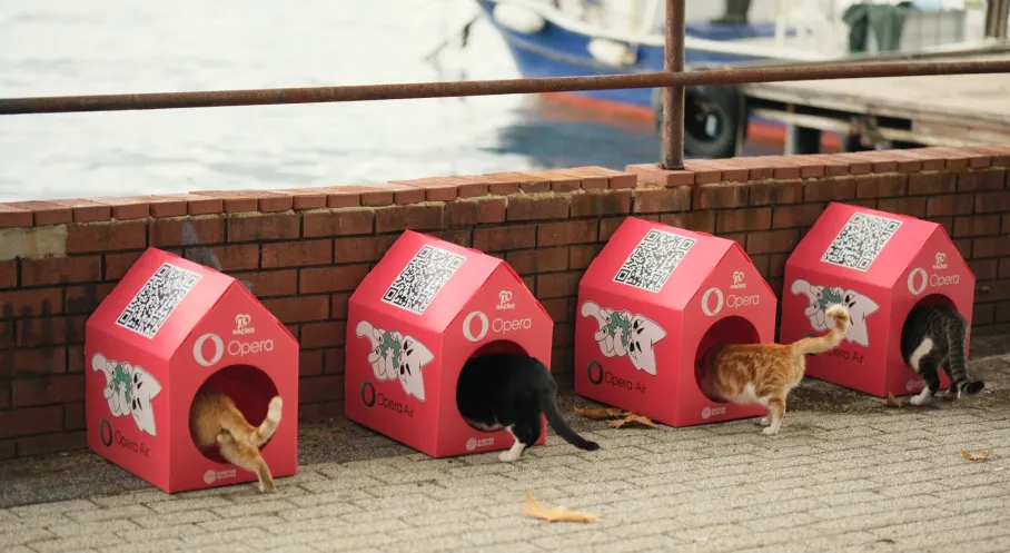 Opera'dan HAÇİKO ile Kedi Dostu İşbirliği: Türkiye'nin En Büyük Kedi Mahallesi Geliyor!