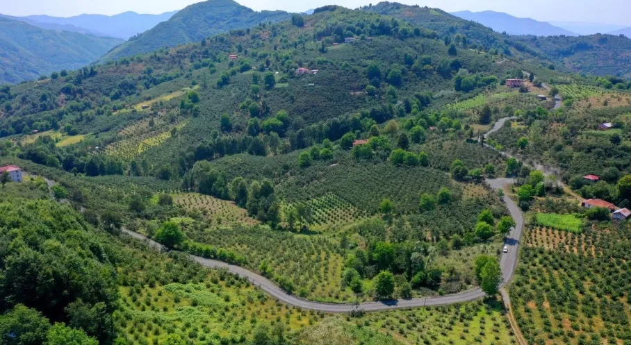 Ordu-Samsun Yolu Müjdesi! Asfalt Çalışmaları Tamamlanıyor