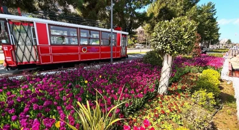 Ordu'da Baharın Görsel Şöleni: Lale ve Sümbüllerle Renklenen Caddeler